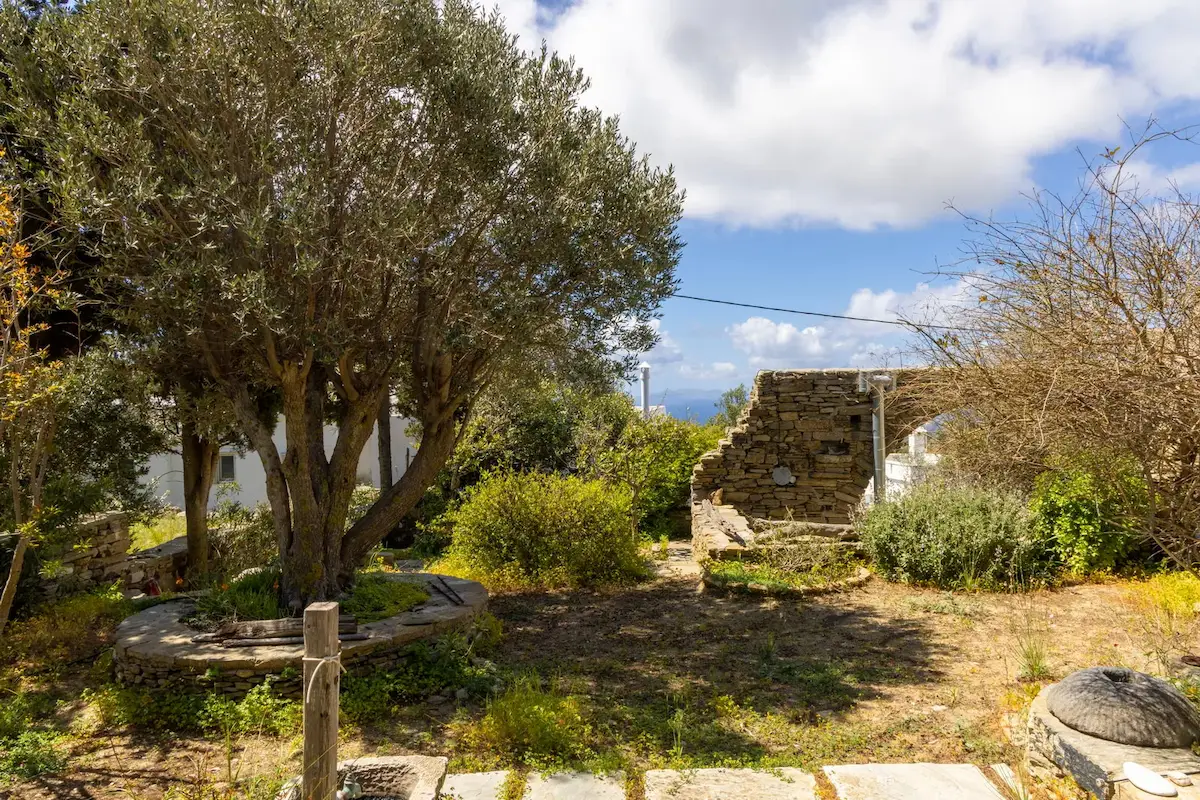 Tinos Olive Mill House, Ktikados, Tinos, photo 22